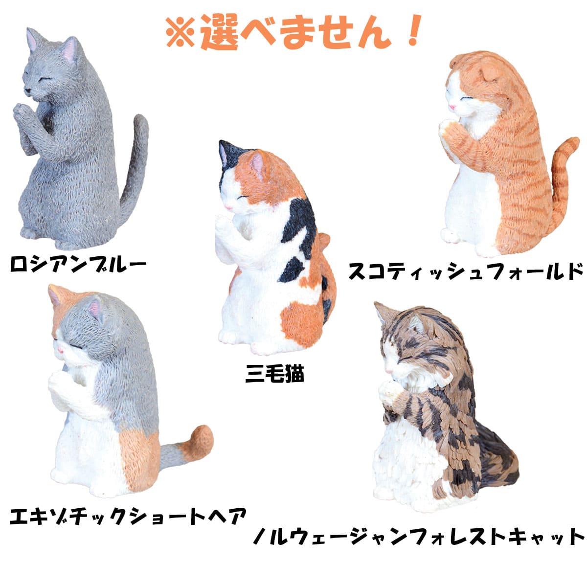 フィギュア 合掌 匠 猫拝 BOX 1個入
