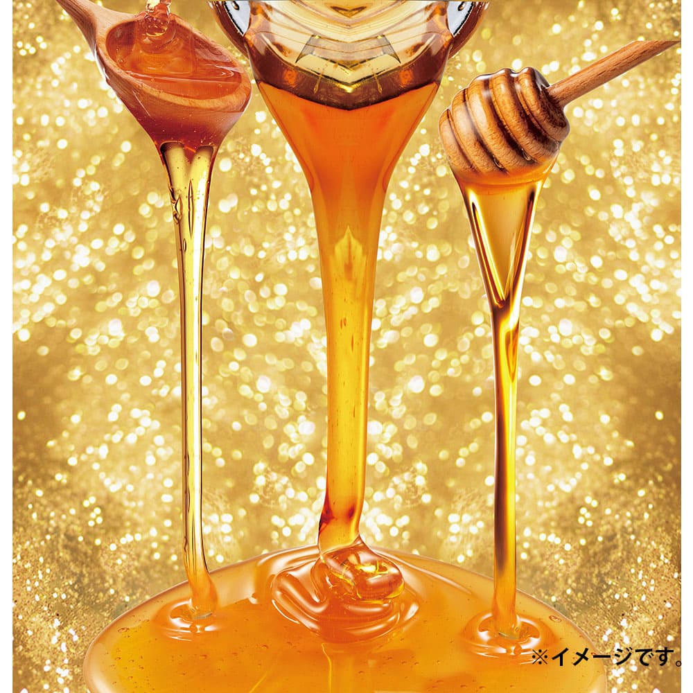 HONEY 蜂蜜シャンプー 600mL