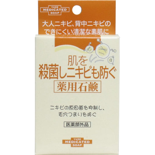 肌を殺菌しニキビも防ぐ薬用石鹸 １１０ｇ