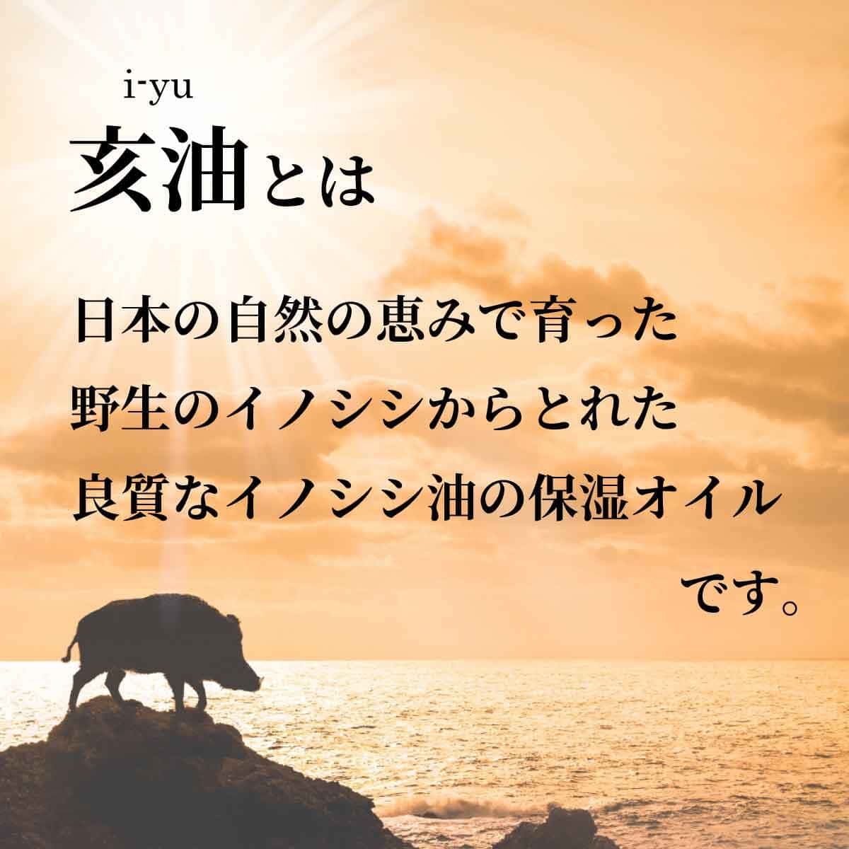 高保湿ボディミルク 亥油入 無香料 400mL