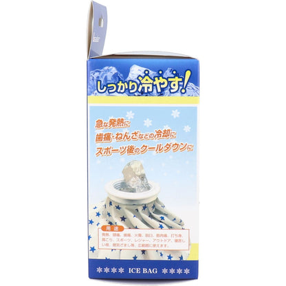 リーダー 発熱スッキリ 氷のう 小さめサイズ 1個入