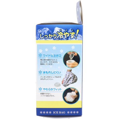 リーダー 発熱スッキリ 氷のう 小さめサイズ 1個入