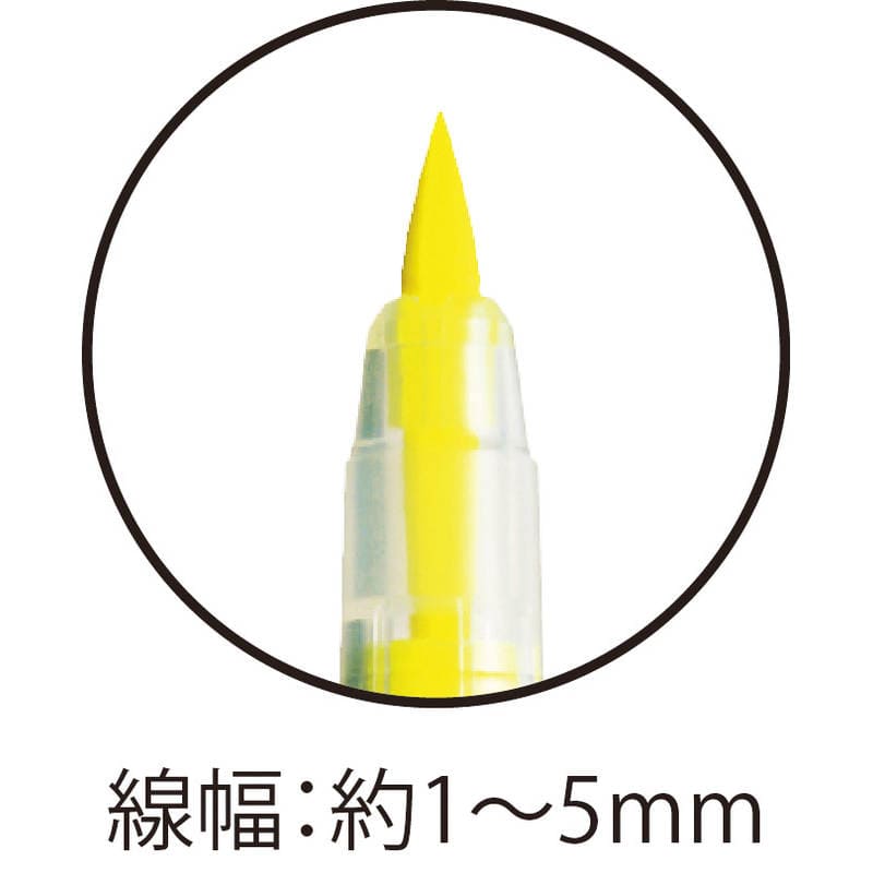 呉竹 ブラッシュハイライト サッと C＋ 5色セット BHSC-55/5V