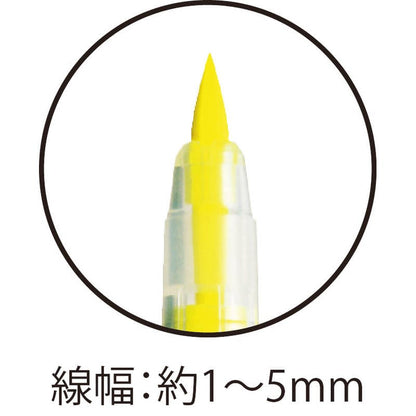 呉竹 ブラッシュハイライト サッと C＋ 5色セット BHSC-55/5V