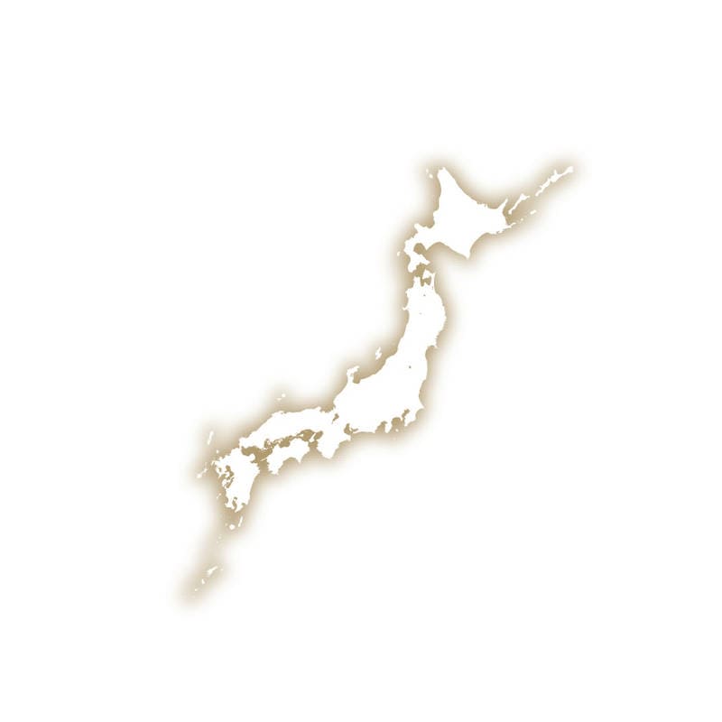 西川 サンクレスト 今治タオルケット 2P RR82020002