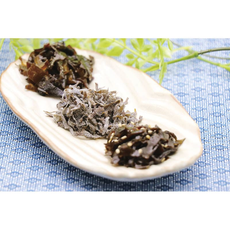 廣川昆布 御昆布 佃煮10品詰合せ（KA―40） 200-36