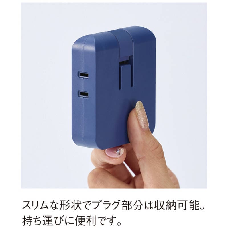 マルチアダプター（2AC＋2USB） 0065-02 グレージュ