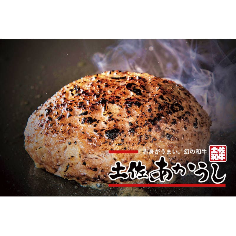パネルスタイル目録ギフト 【高知県】幻の和牛 土佐あかうしハンバーグ 150g×5 6277-80