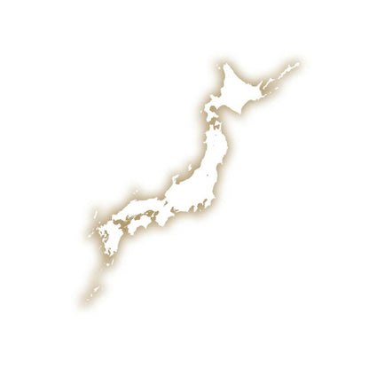 日本製 肩口あったかニューマイヤー毛布 BSM-11