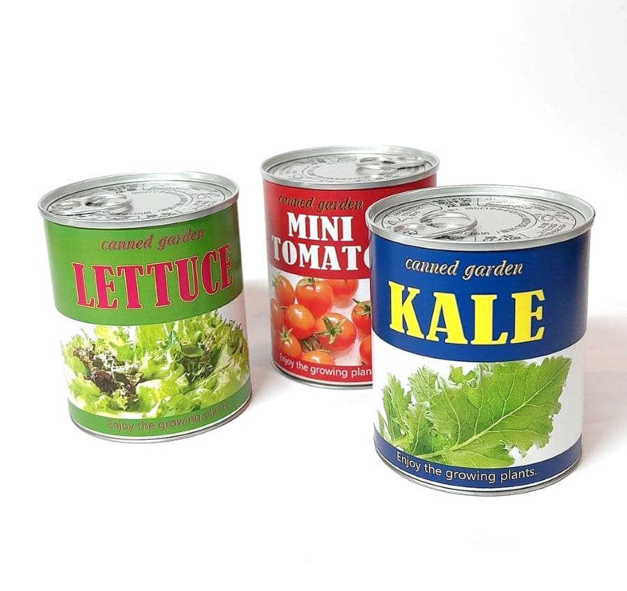 Canned garden Lサイズ ケール 栽培キット