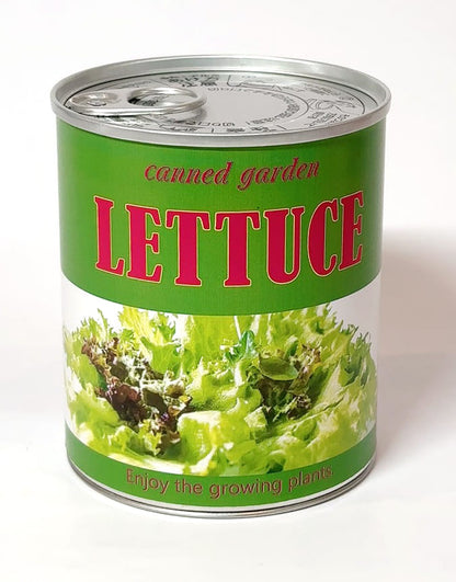 Canned garden Lサイズ ケール 栽培キット