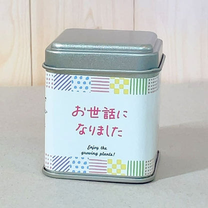 プチギフトパームガーデン ラッピング付き 【メッセージ】いつもありがとうございます【種子】レモンバーム