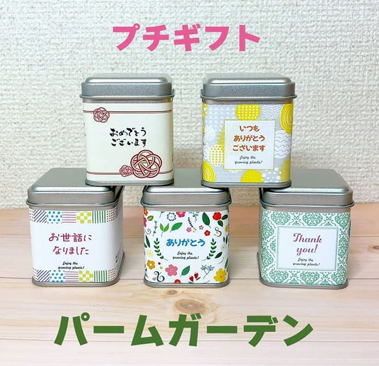 プチギフトパームガーデン ラッピング付き 【メッセージ】お世話になりました【種子】ミニトマト