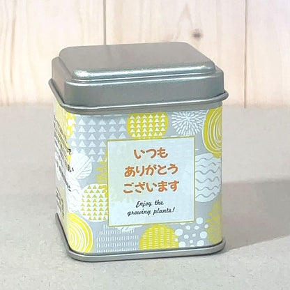 プチギフトパームガーデン ラッピング付き 【メッセージ】お世話になりました【種子】ひまわり