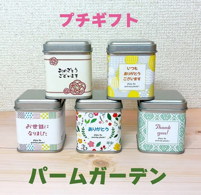 プチギフトパームガーデン ラッピング付き 【メッセージ】お世話になりました【種子】マリーゴールド