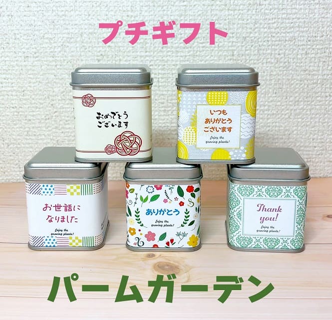 プチギフトパームガーデン ラッピング付き 【メッセージ】おめでとうございます【種子】ミニトマト
