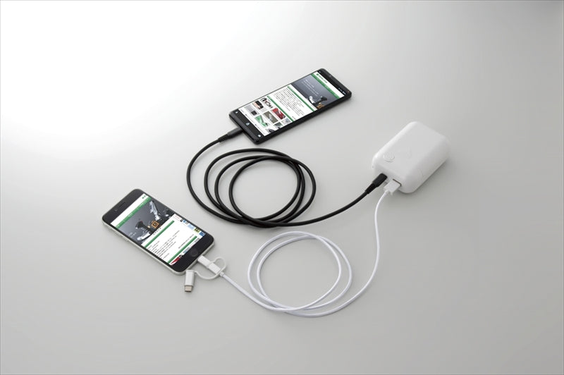 10年保存乾電池付き2ポート乾電池スマホ充電器 BP-838 【単品】