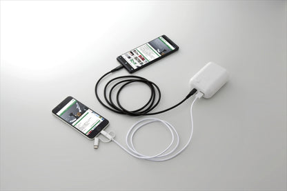 10年保存乾電池付き2ポート乾電池スマホ充電器 BP-838 【単品】