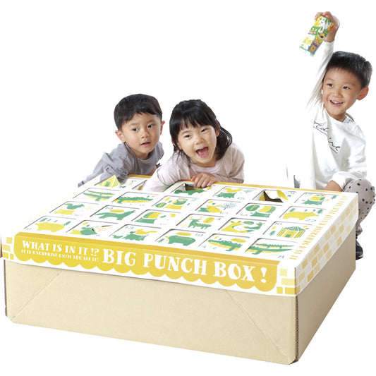 BIGパンチBOX 7639 【個人宅】