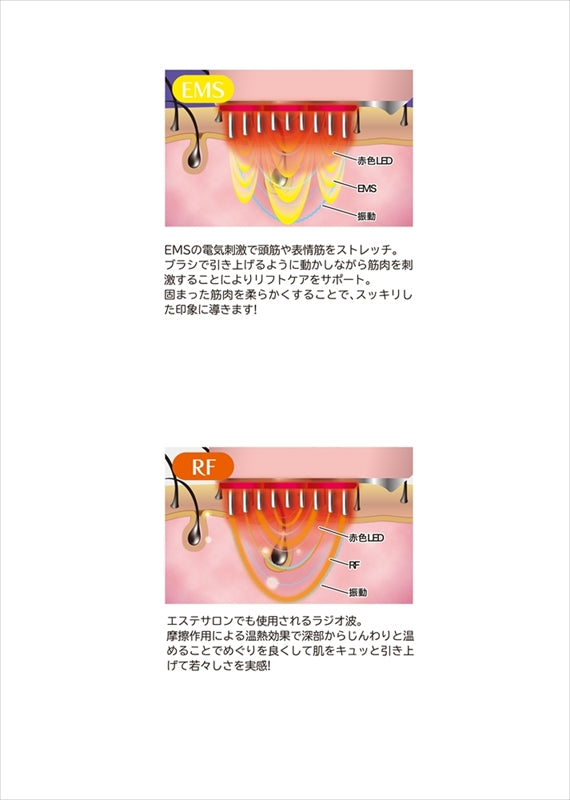 EMS＆RF リフトブラシボーテ OMC-BTHA003 【単品】