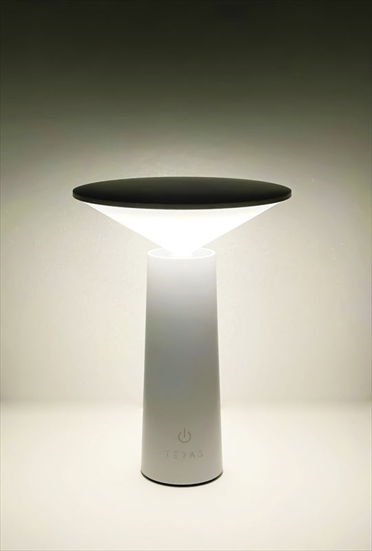 TERAS LEDタッチテーブルライト 60190 【単品】