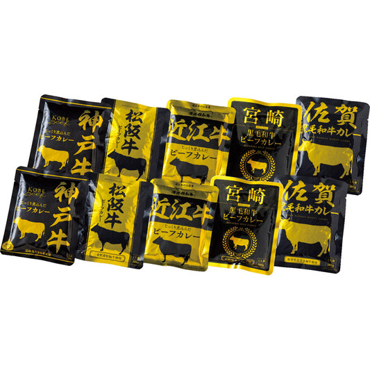 ご当地カレーセット 10人前 3105-50 【単品】