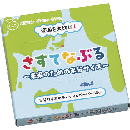 さすてなぶる ハンディーBOXティッシュ 30W 【単品】