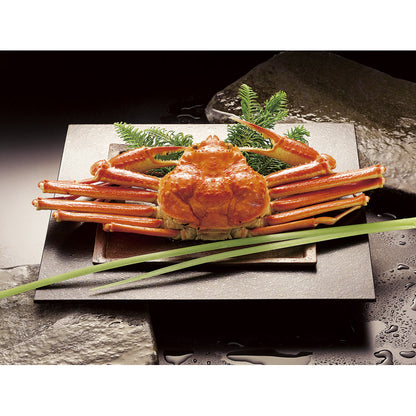 ボイルずわいがに姿 450g×1尾 ZHB451N 【単品】