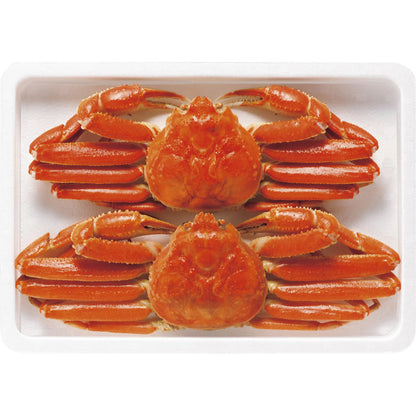 ボイルずわいがに姿 450g×2尾 ZHB452N 【単品】