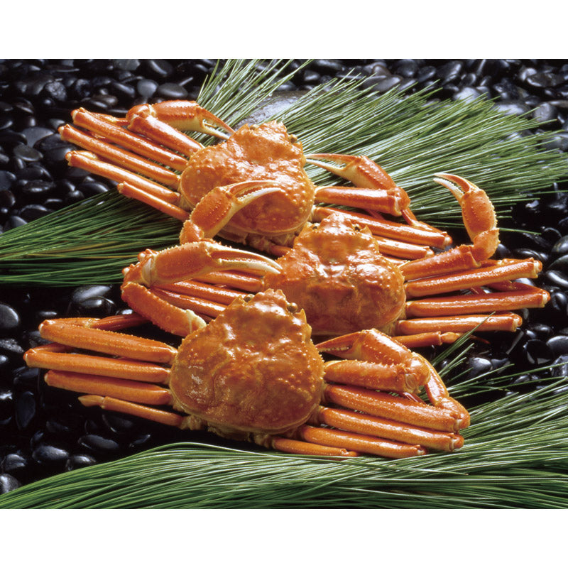 ボイルずわいがに姿 450g×3尾 ZHB453N 【単品】