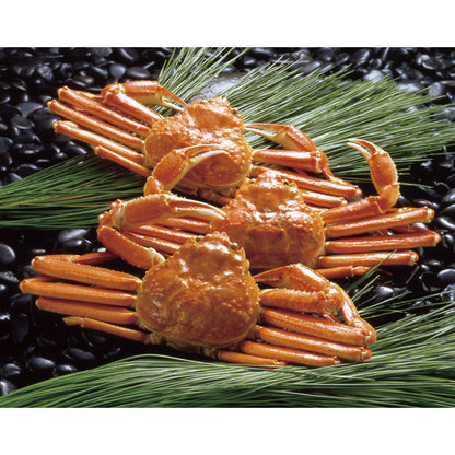 ボイルずわいがに姿 450g×3尾 ZHB453N 【単品】