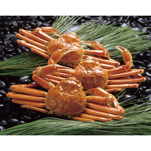 ボイルずわいがに姿 450g×3尾 ZHB453N 【単品】