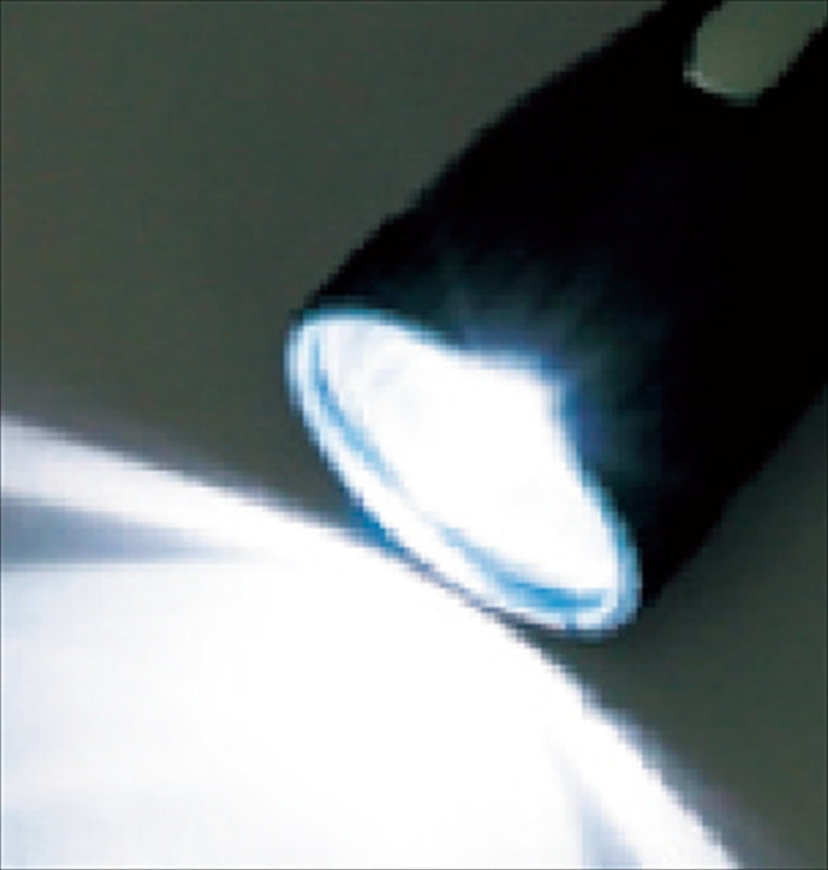 マルチLEDライト 色／指定不可 L2811 【単品】