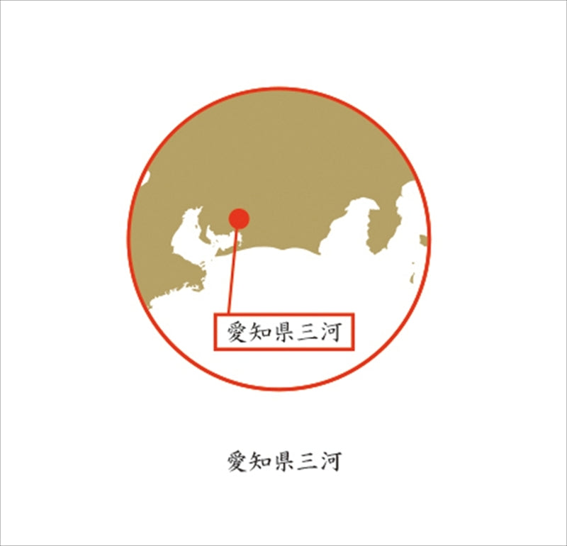 愛知三河木綿 ダブルガーゼ 肌布団 ブルー WK1021 【単品】