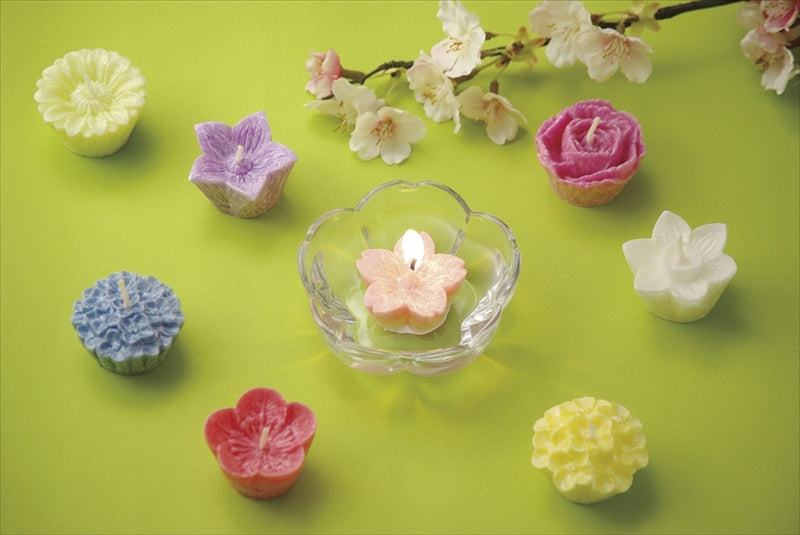 花づくしギフトセット（植物性） T96200700 【単品】