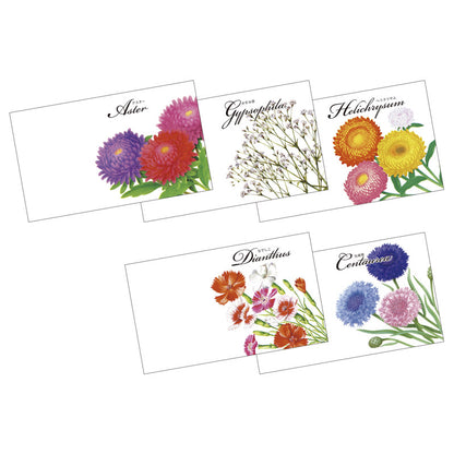 花の種子（横型） 種類／指定不可 【単品】