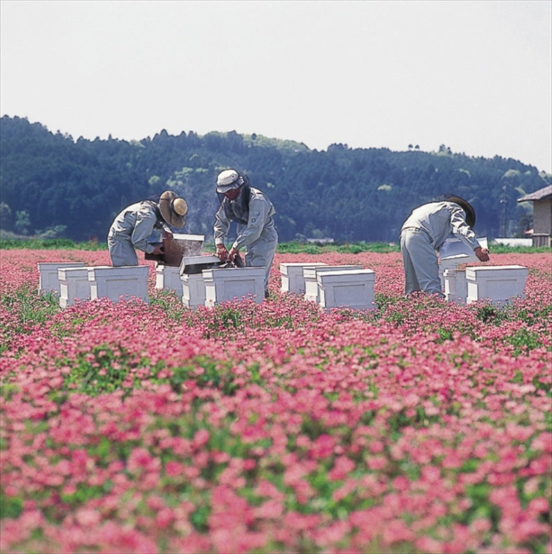 山田養蜂場 世界の蜂蜜3本セット LH2-30 【単品】