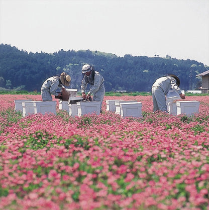 山田養蜂場 世界の蜂蜜3本セット LH2-30 【単品】