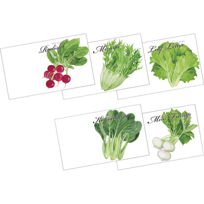 野菜の種子（横型） 種類／指定不可 【単品】