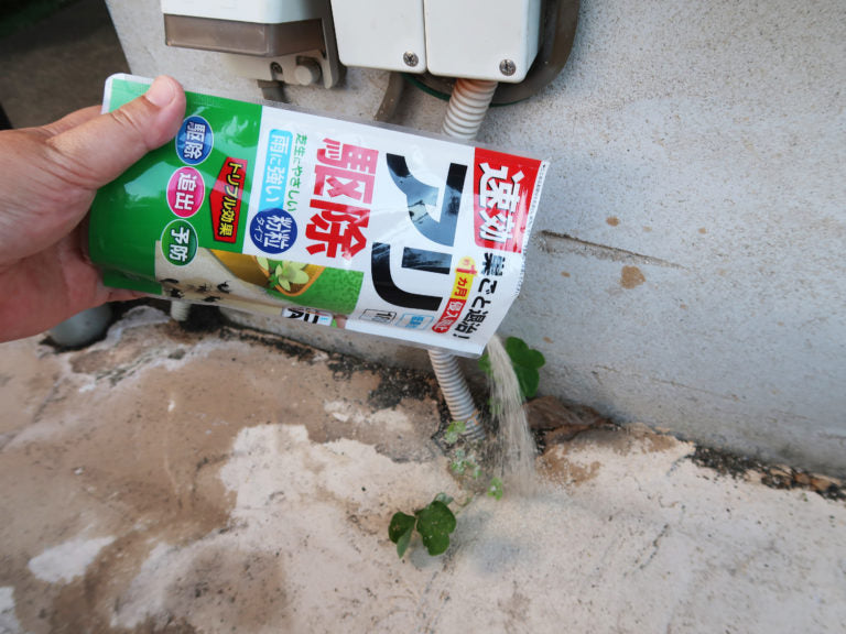 【6点セット】 駆除剤 アリ駆除 180g 日本製 sangost アリ駆除180g