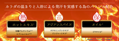 【10点セット】 入浴剤 ゲルマヴェーダII バスソルト 日本製 sangobath