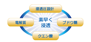 【24点セット】 補水対策 オーアールウォーターH 500ml 五洲薬品 日本製 sangost
