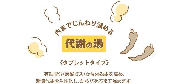 【10点セット】 薬用入浴剤 整湯炭酸（ととのゆたんさん）柚子生姜乃香 日本製 sangobath