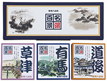 【20点セット】 薬用入浴剤 名湯百景 ギフトセット（10包入）日本製 sangobath